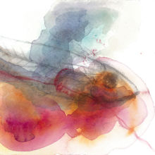 085. Confession - Liver